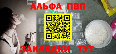 стаф Кингисепп