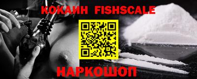 стаф Кингисепп