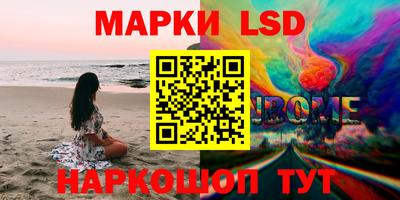 стаф Кингисепп