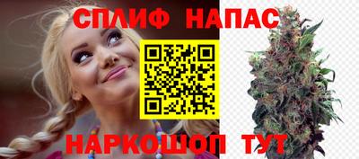 стаф Кингисепп