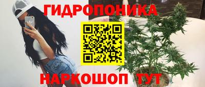 стаф Кингисепп