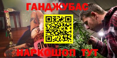стаф Кингисепп