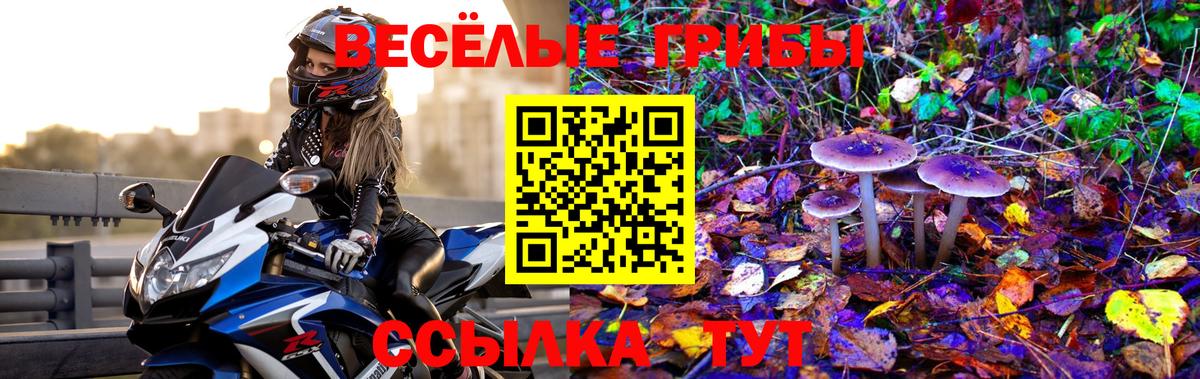 Галлюциногенные грибы ЛСД Чапаевск